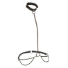 Calexotics - Euphoria Collier Et Laisse Chaine